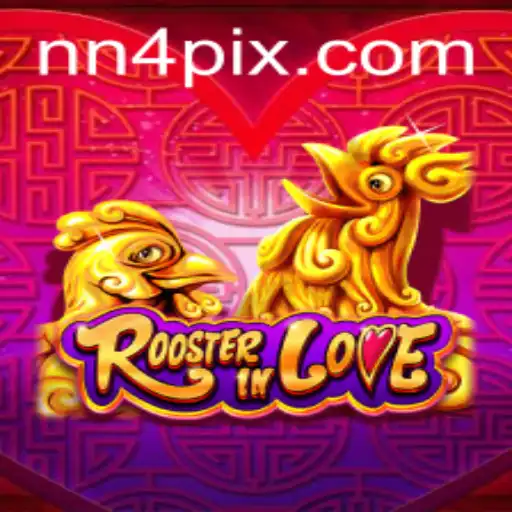 RoosterInLove: The Vibrant World of NN4
